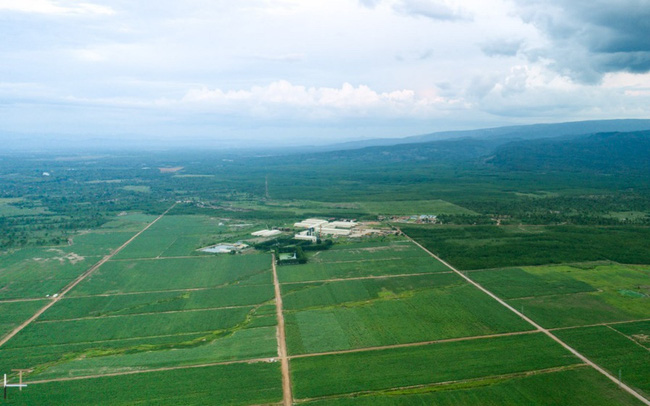 TTC Sugar tiếp tục mở rộng vùng nguyên liệu trồng mía organic tại Attapeu, Lào